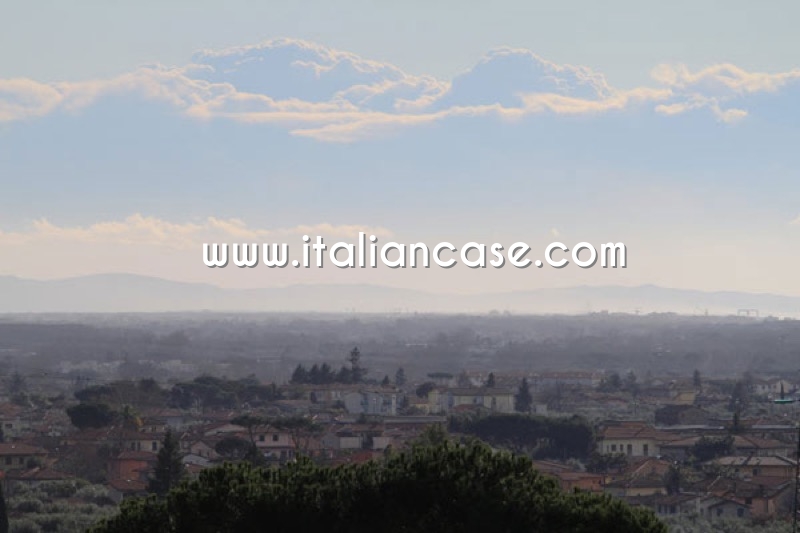 Codice V01146
