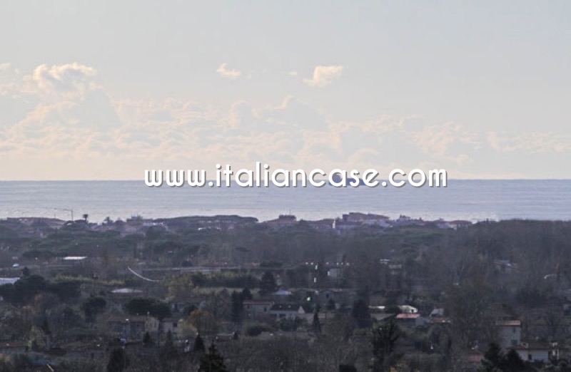 Codice V01146